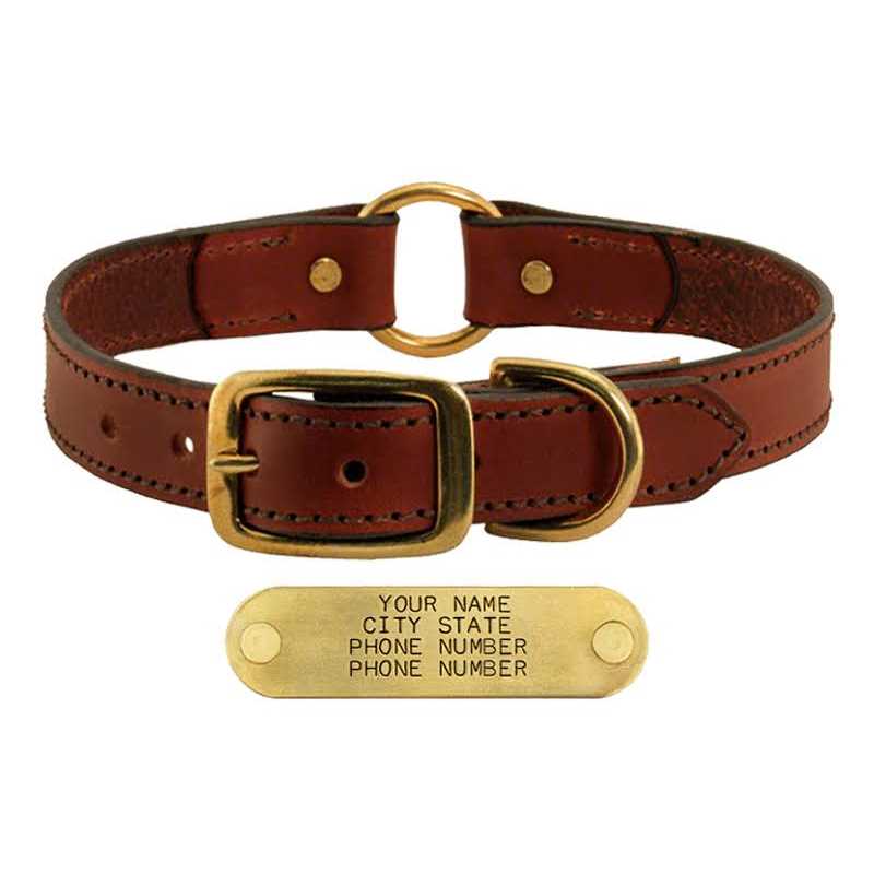 Leather Dog Collar with Nameplate I691