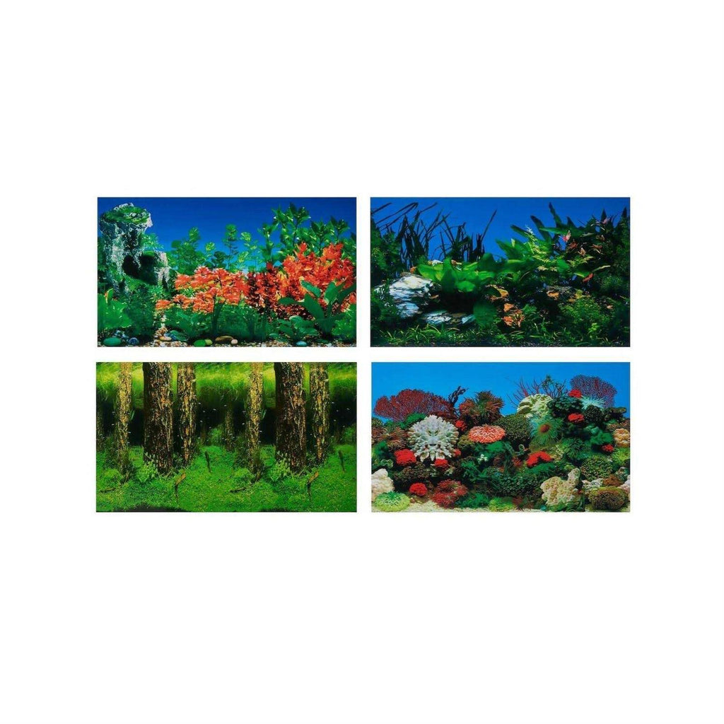 Aquarium Background K964635