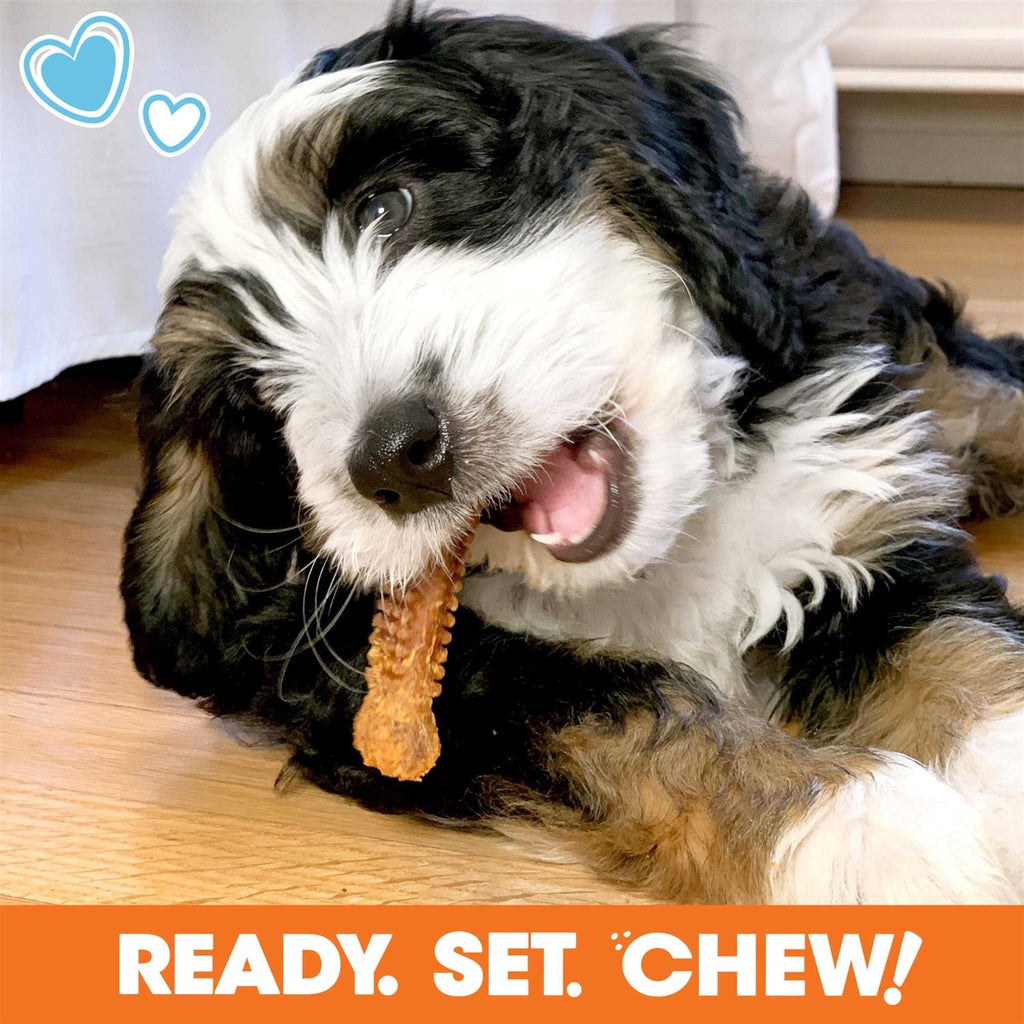 Chew Toy & Treat Gift Box C385