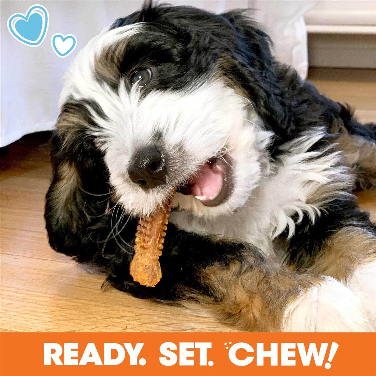 Chew Toy & Treat Gift Box C385