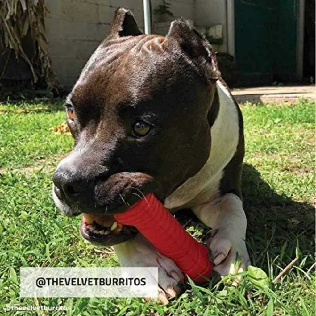 Dual Layer Bone Dog Toy F8409