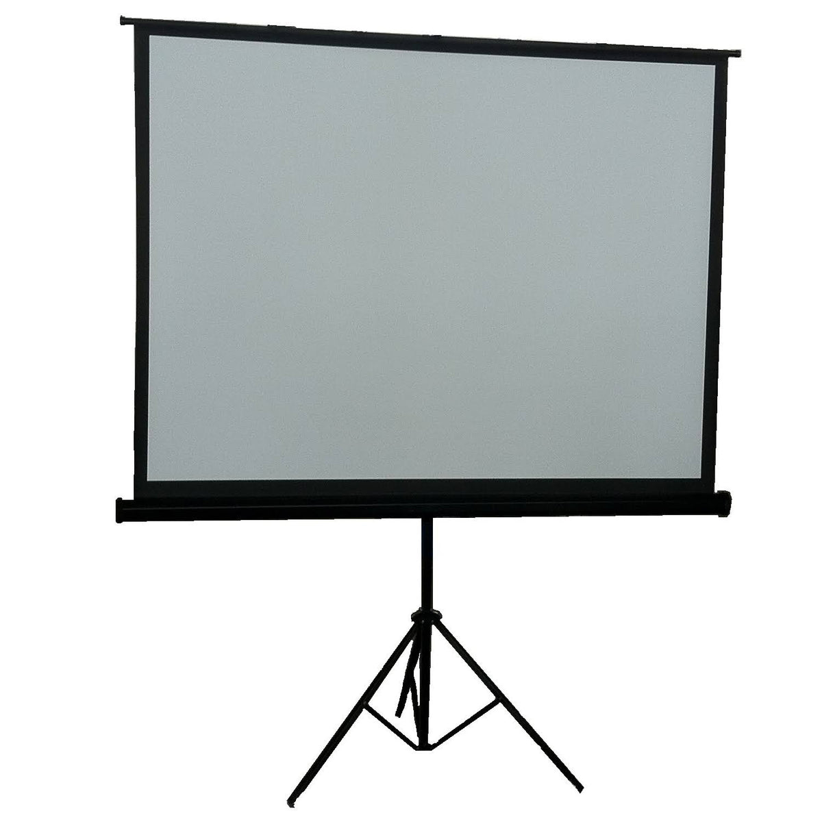 Portable Projection Screen Z336680