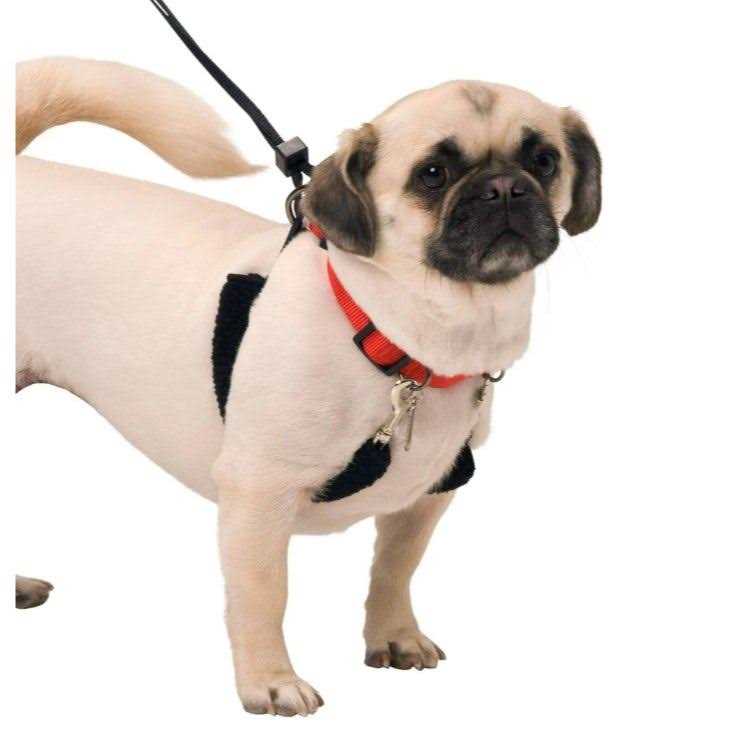 Halter M667