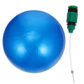 Inflatable Pool Ball Toy with Water Injector N697308