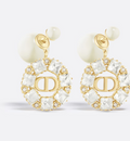 Earrings G8198