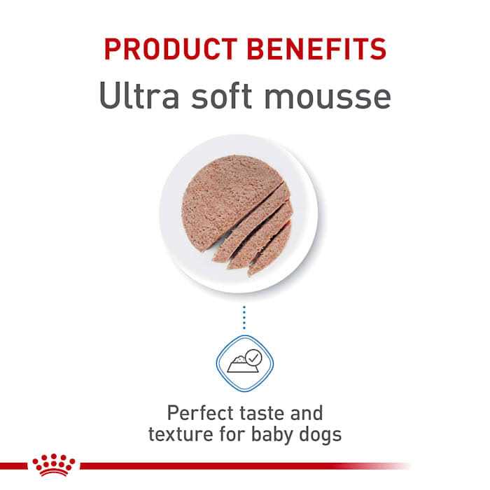 Starter Mousse in Sauce Dog Food F73699