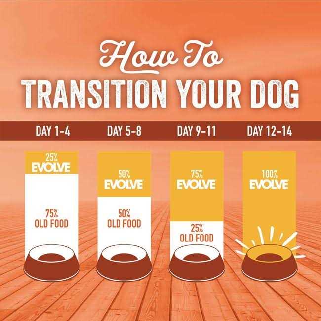 Grain Free Turkey and Sweet Potato Dog Food I626434