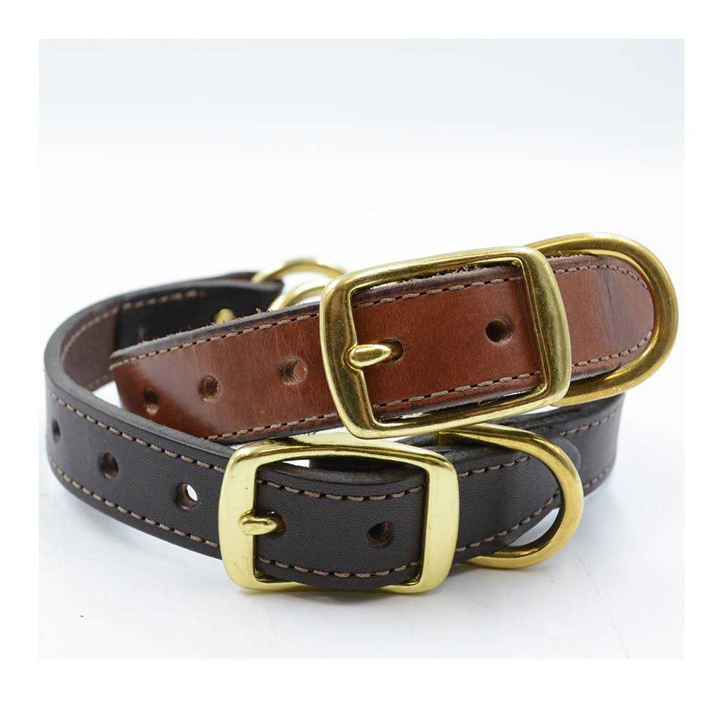 Leather Dog Collar with Nameplate I691