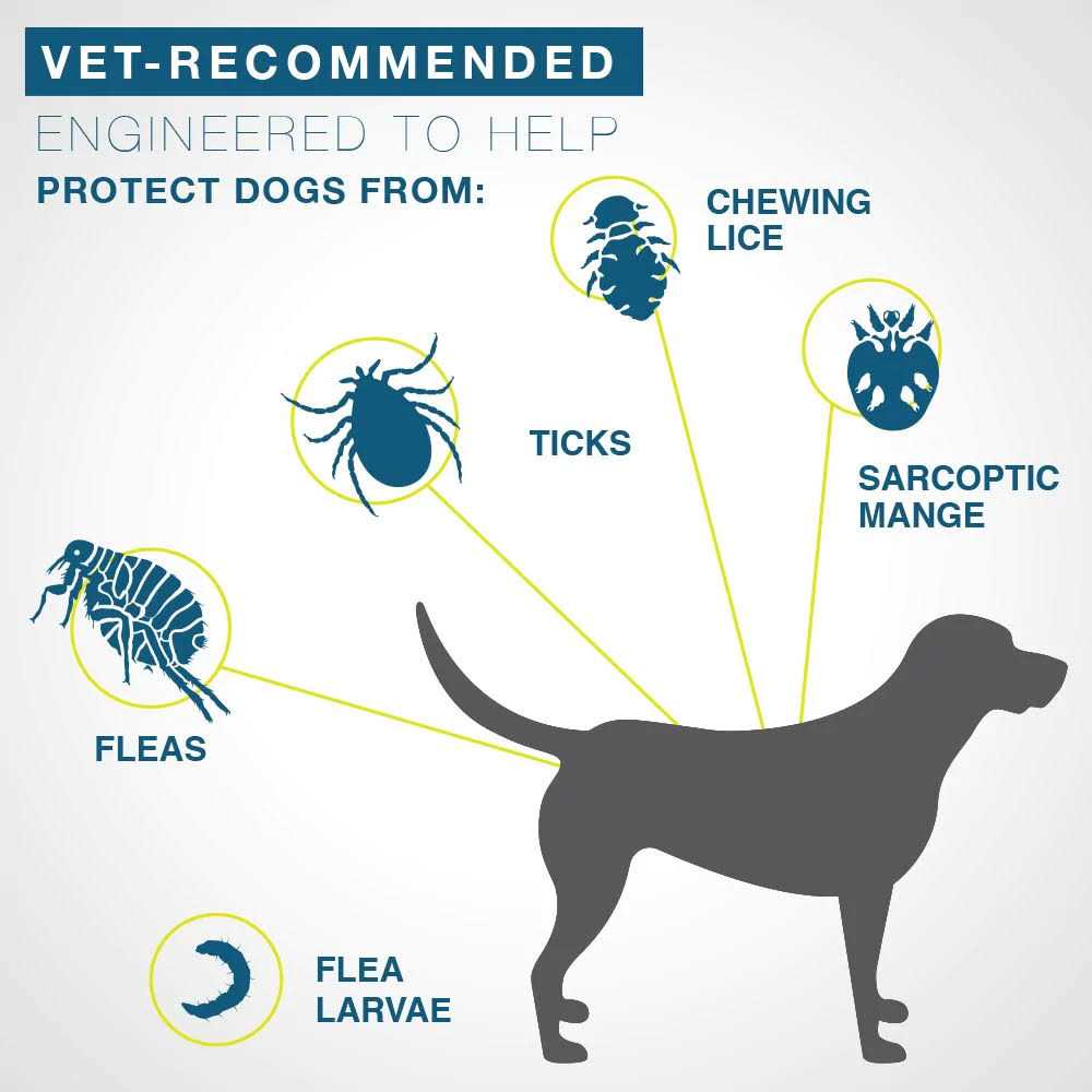 Flea and Tick Collar for Large Dogs Over 18 Pounds V147333