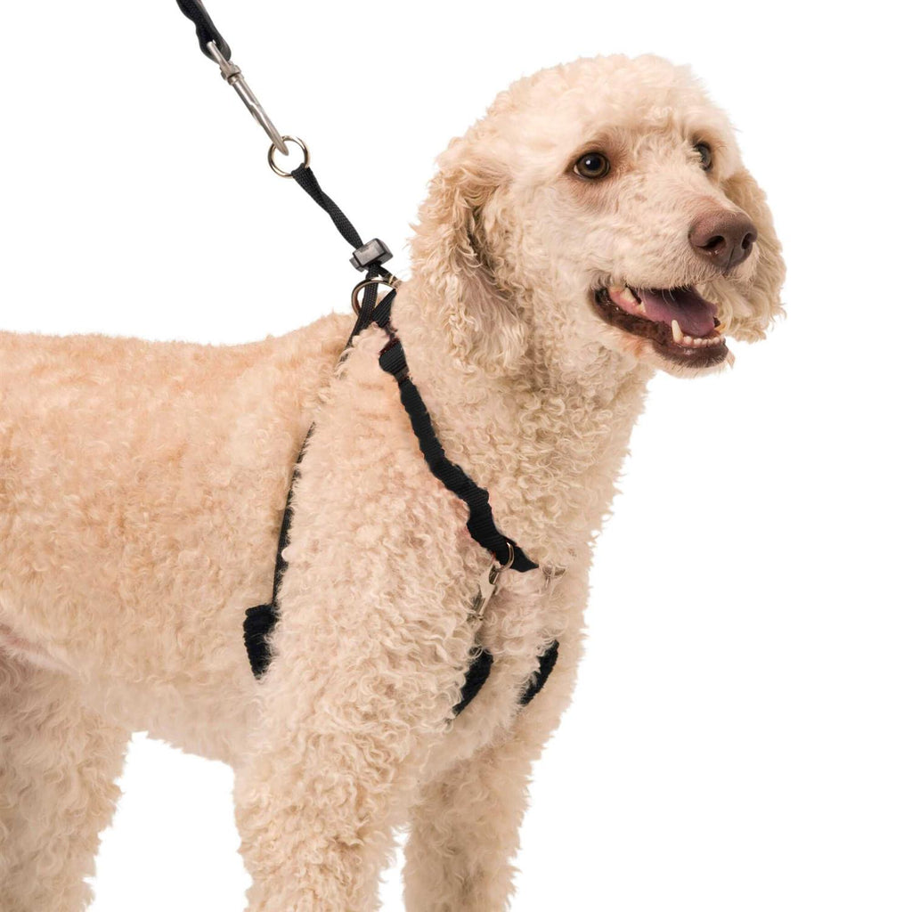 Halter M667