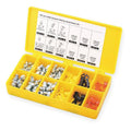 100 PC Grease Fitting and Cap Kit L733680