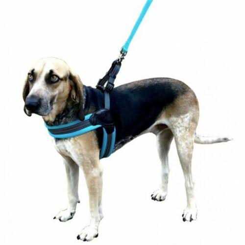 Nylon Mesh Non-Pulling Dog Harness Z1859