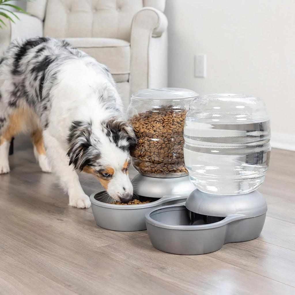 Gravity Pet Waterer with Microban, 4 Gallons P839