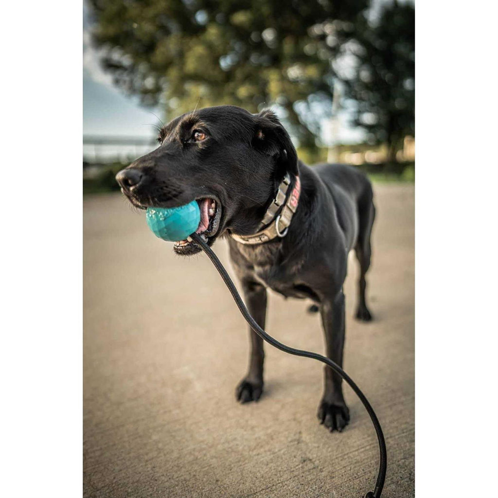 Solid Rubber Dog Ball on a Rope Tug Toy X662
