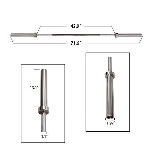 Olympic Bar Barbell, 700-Pound Capacity P712375
