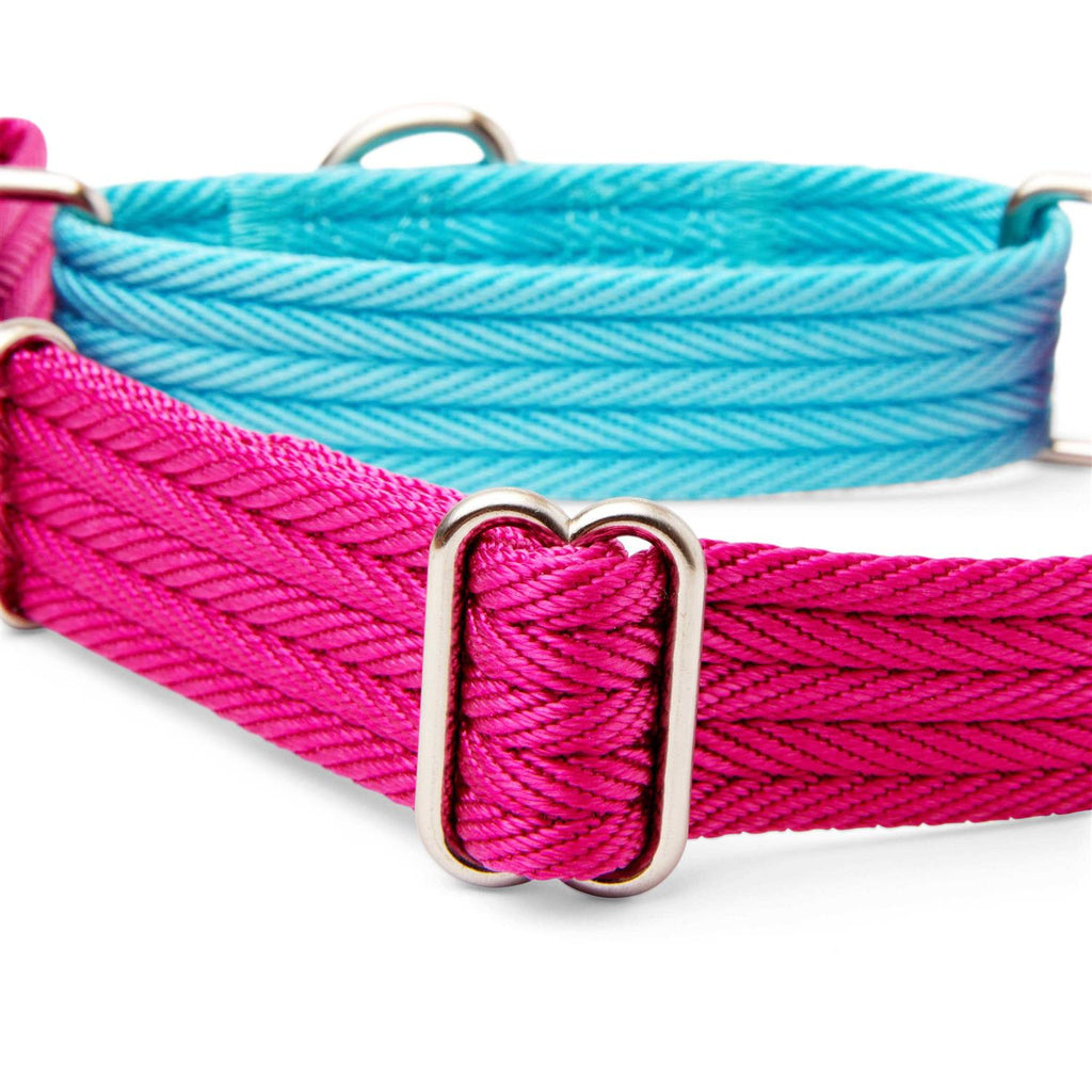 Teal Dog Collar C796137