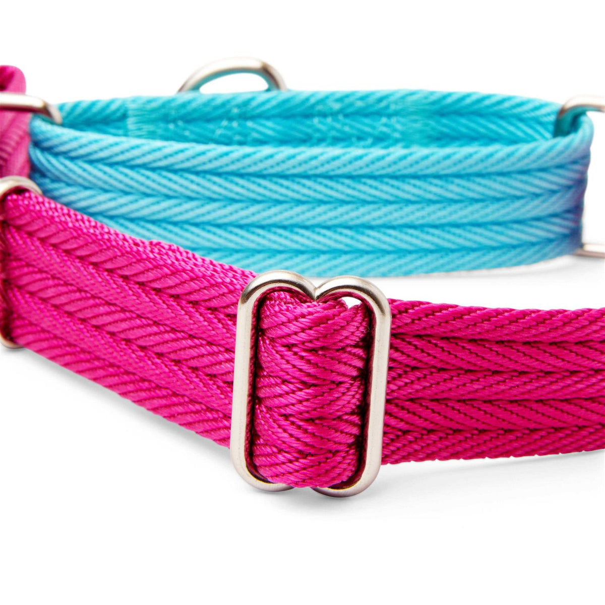 Teal Dog Collar C796137