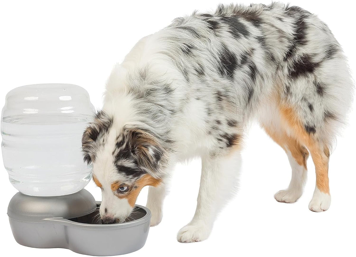 Gravity Pet Waterer with Microban, 4 Gallons P839
