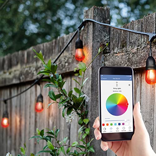 24" 12pc. Smart Wifi String Lights with Clear Bulb Y904358