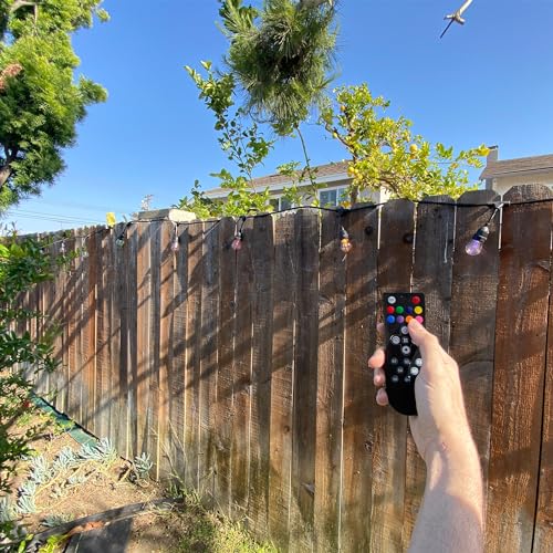 24" 12pc. Smart Wifi String Lights with Clear Bulb Y904358