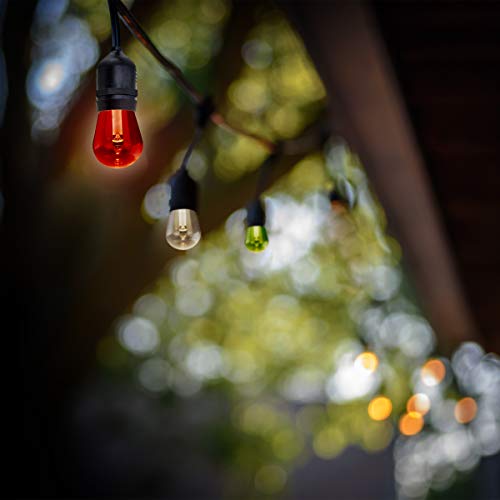 24" 12pc. Smart Wifi String Lights with Clear Bulb Y904358