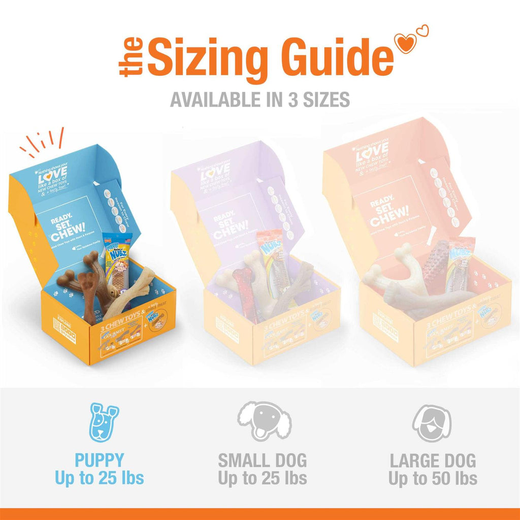 Chew Toy & Treat Gift Box C385