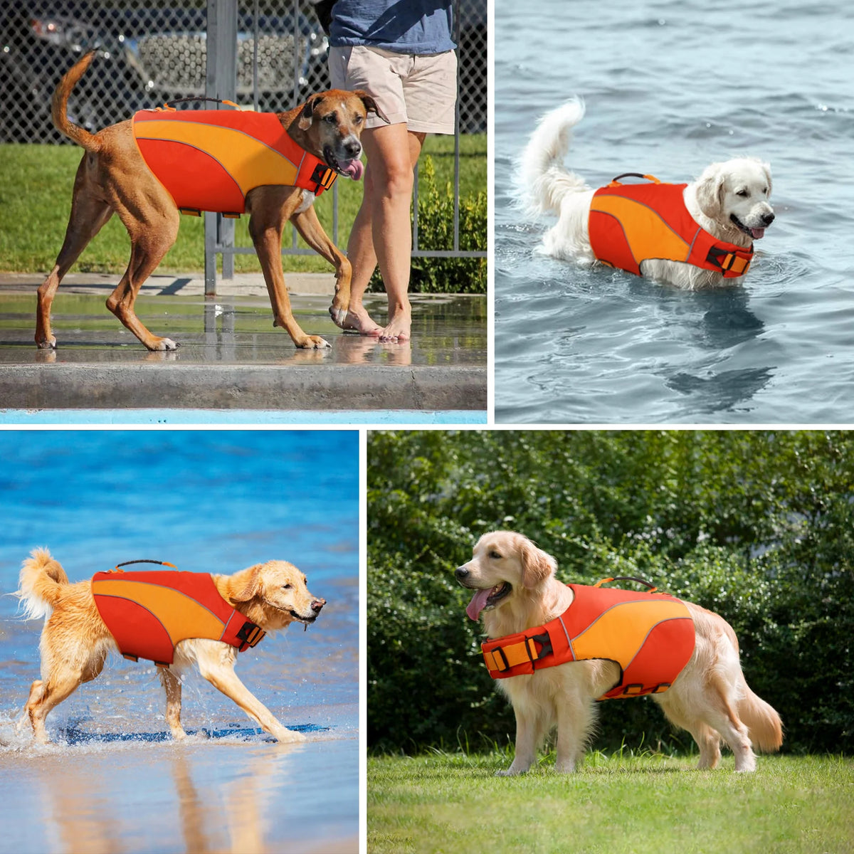 Dog Life Jacket with Reflective Stripes P900