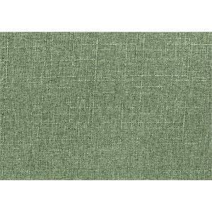 Light Green Fabric Accent Chair with Natural Wood Legs W5701