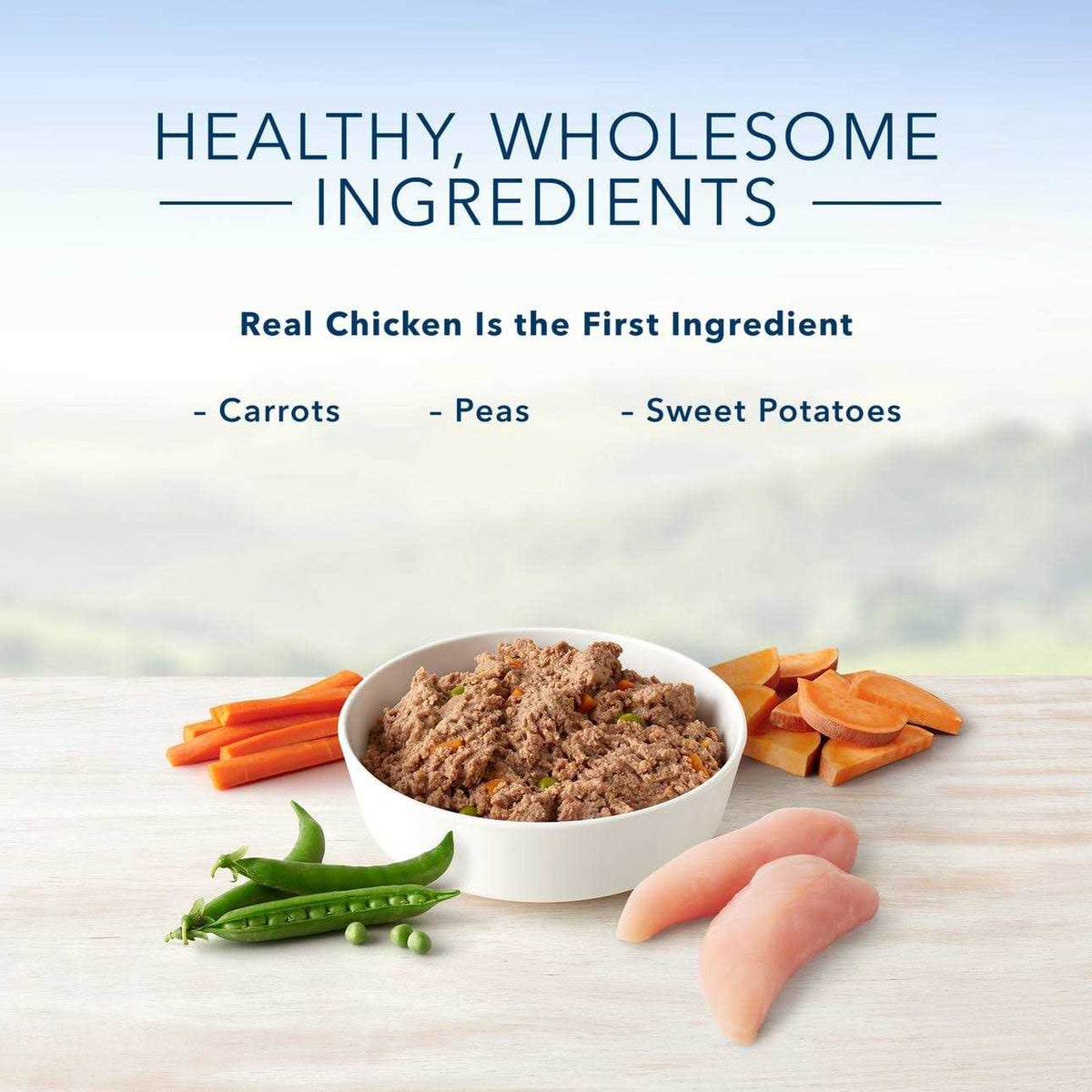 Chicken Dinner Wet Dog Food O267