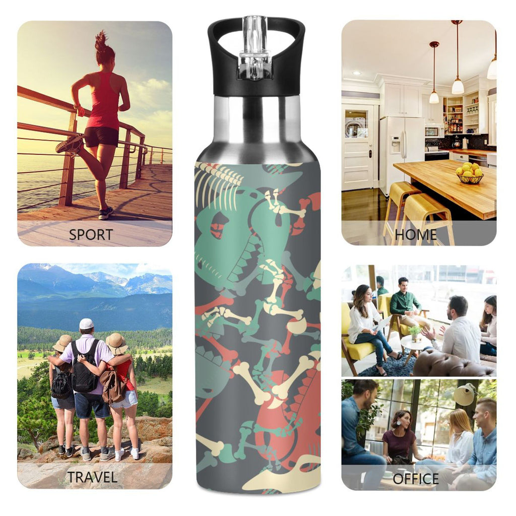 20 OZ Stainless Steel Water Bottle with Straw Lid O65220