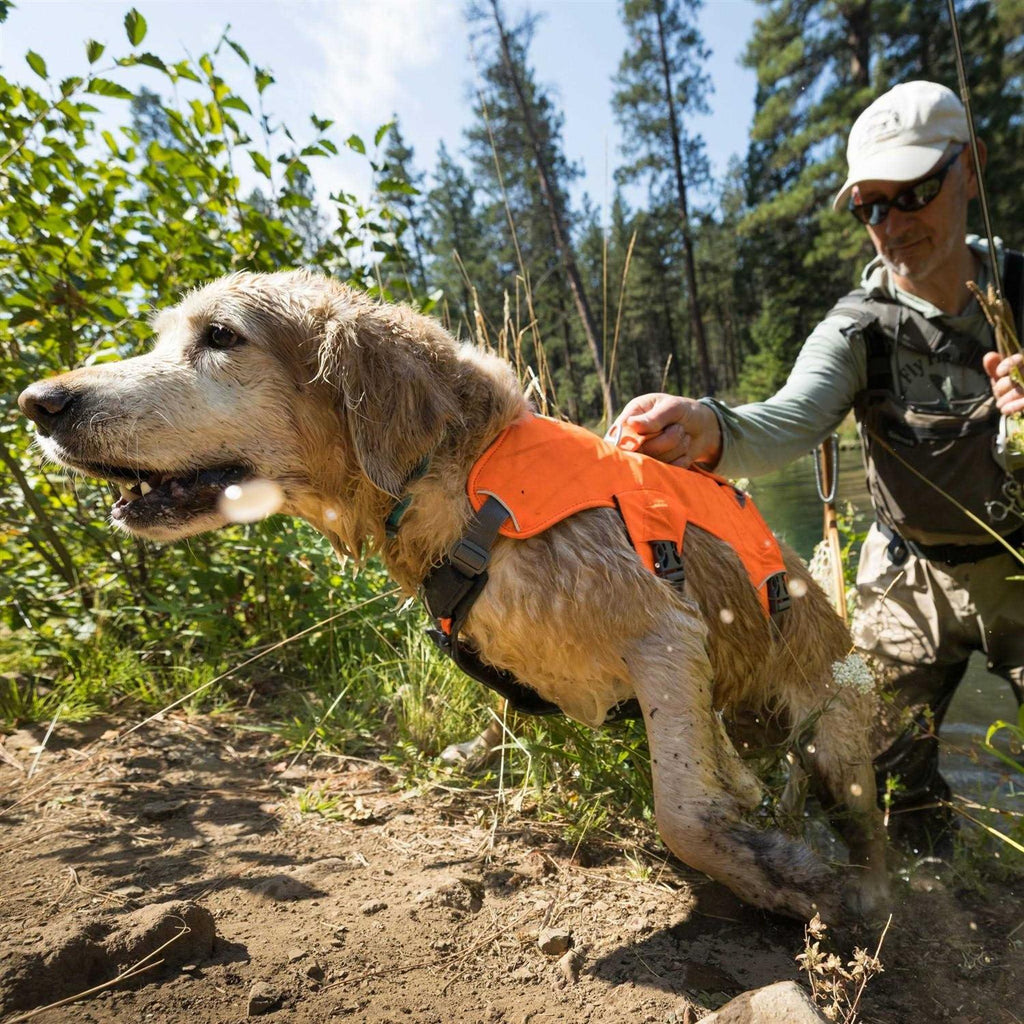 Dog Harness I84300