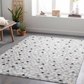 Black Gray Brown 2' x 3' Area Rug Q563424