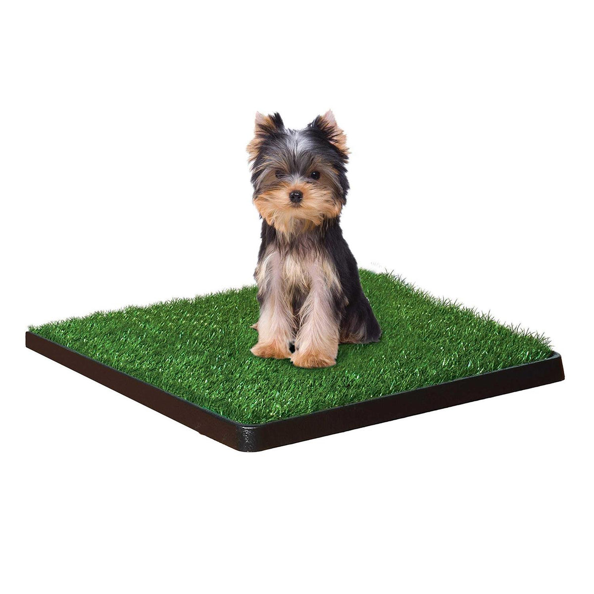 Indoor Potty E2687