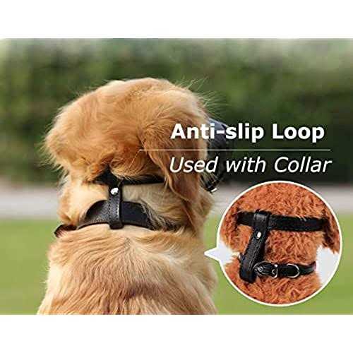 Leather Dog Muzzle A585287