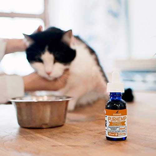 Hemp Oil for Dogs F2272