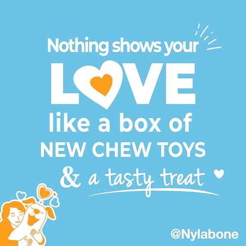 Chew Toy & Treat Gift Box C385
