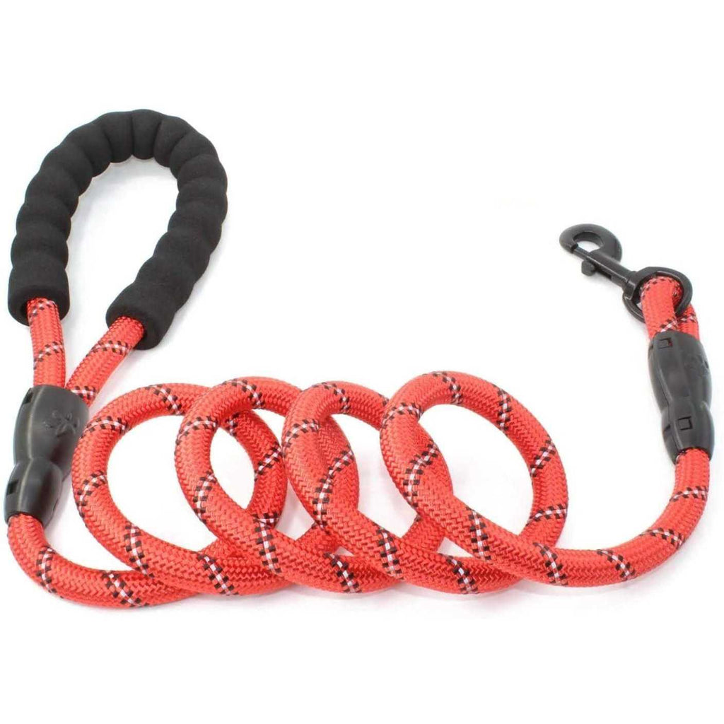 Braided Dog Leash F5791