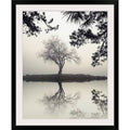Photographic Print Black Frame 44x22 H x 37x22 W x 1x22 D P990019