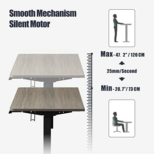 Electric Height Adjustable Standing Desk 55" Grey Oak E916