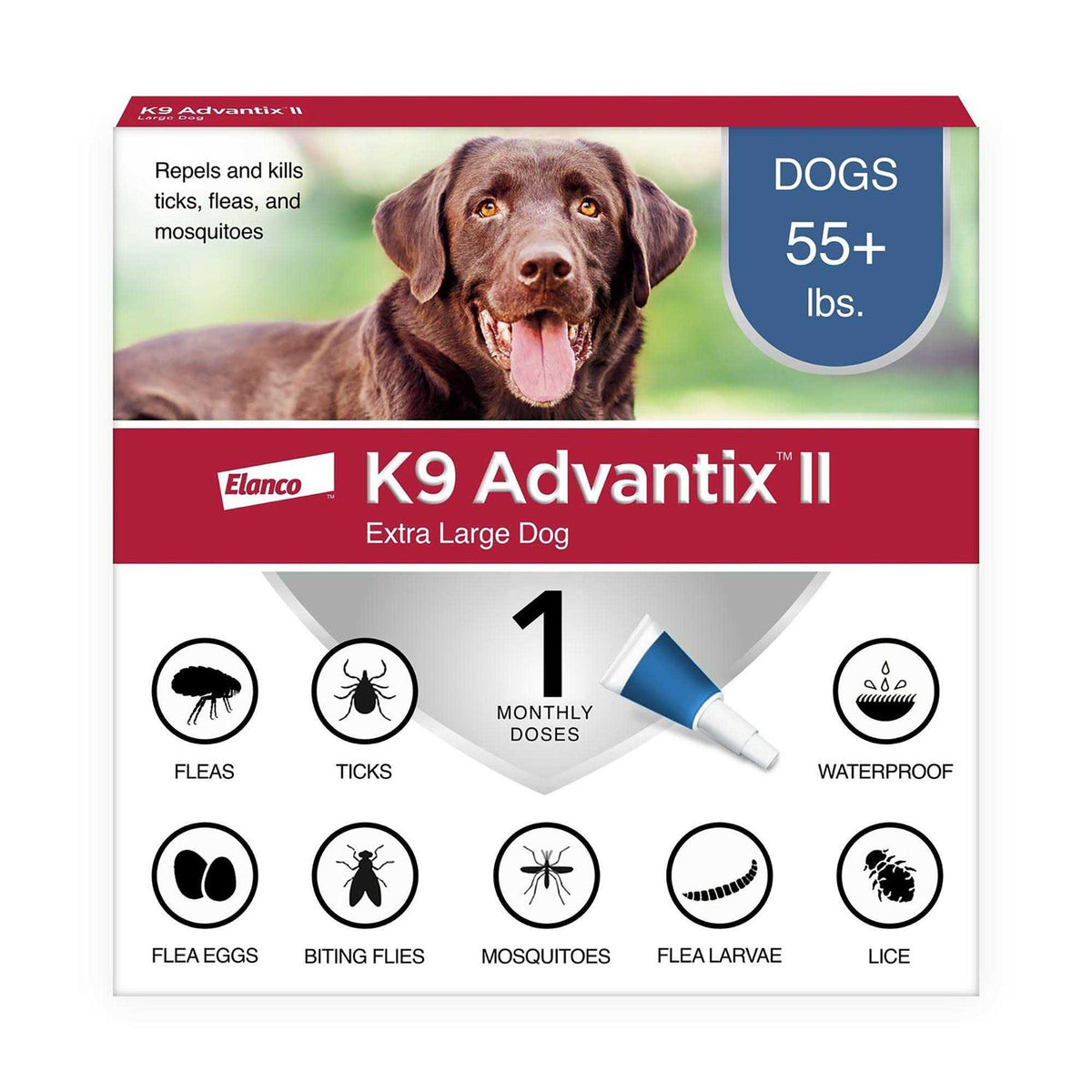 Extra Large Dogs Pet Supplies V174