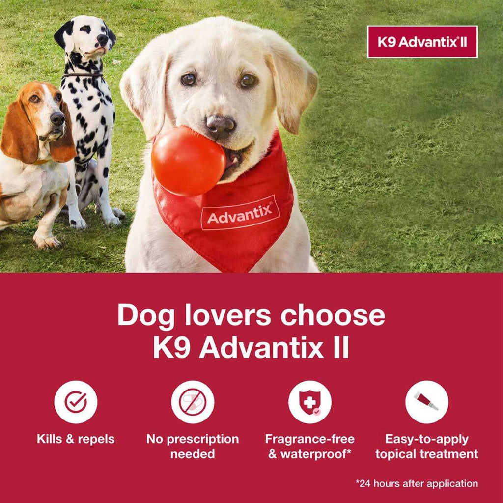 Extra Large Dogs Pet Supplies V174