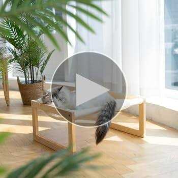 Large Breathable Wooden Cat Bed X450763