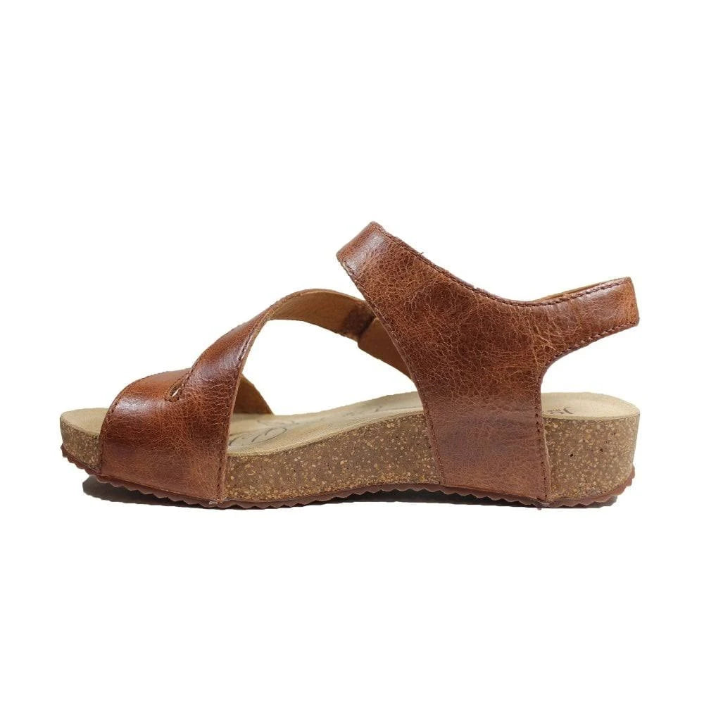 Camel Size 40 Shoes R343287
