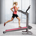 Folding Treadmill with LED Monitor A289
