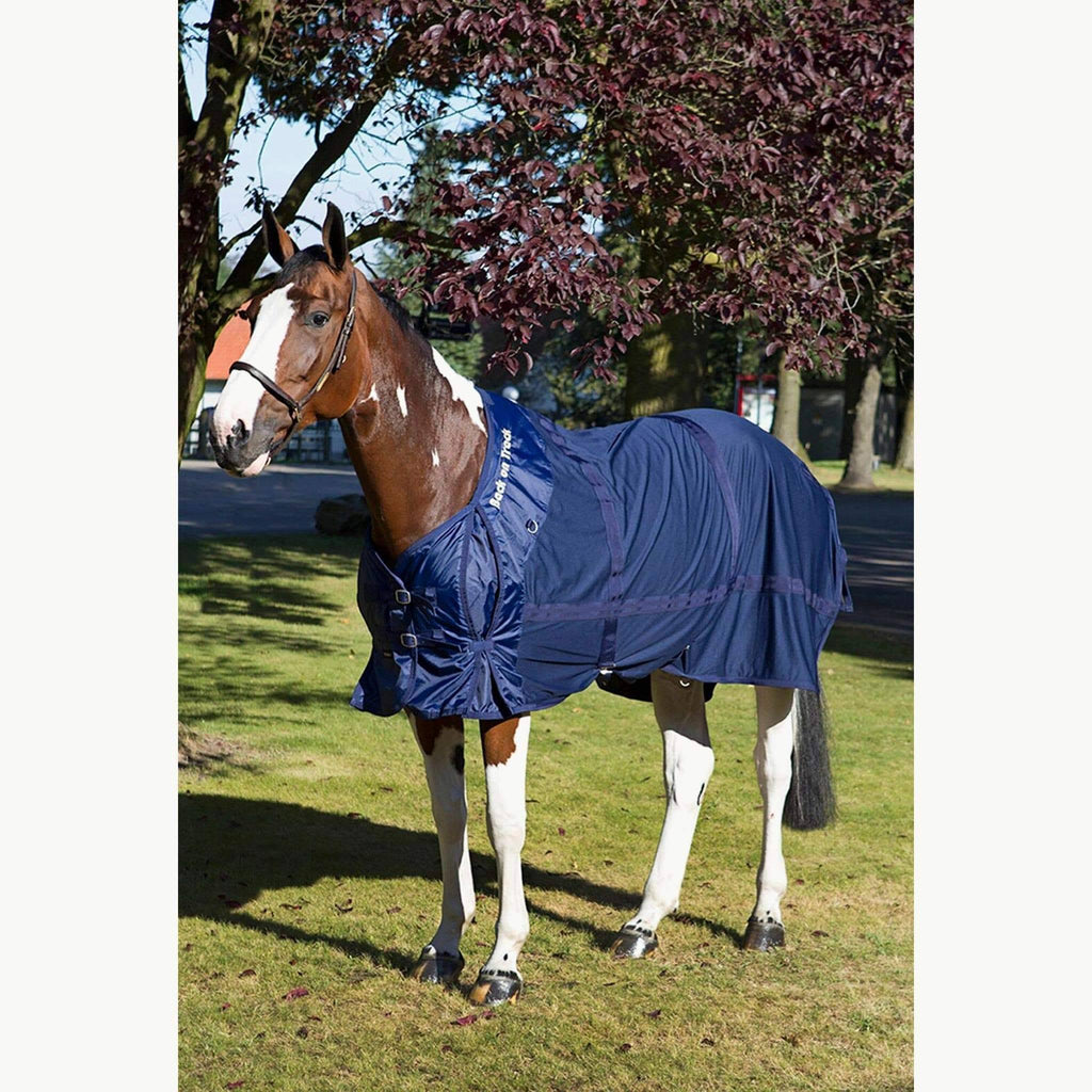 Therapeutic Mesh Horse Sheet O287