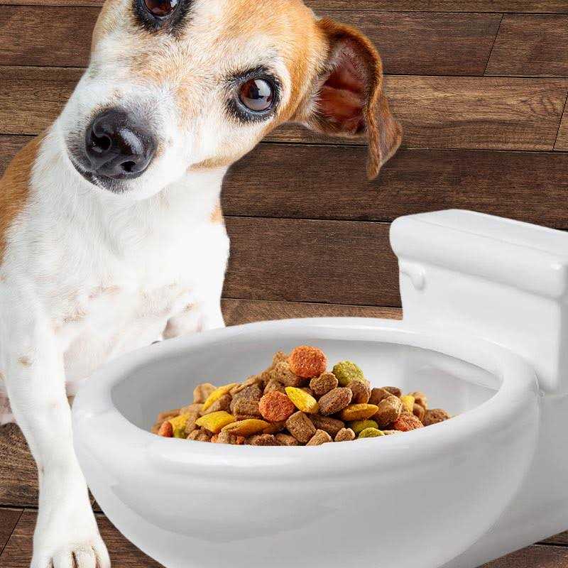 Toilet Bowl Pet Bowl H973794