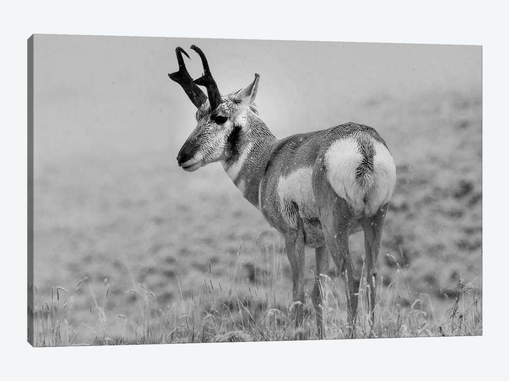 Canvas Wall Decor Prints U2236