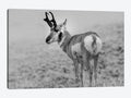 Canvas Wall Decor Prints U2236