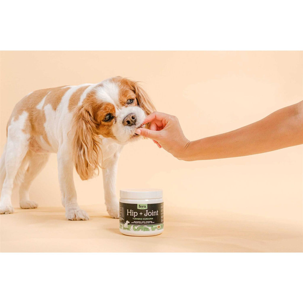 Hip & Joint Soft Chew Dog Supplement X547358