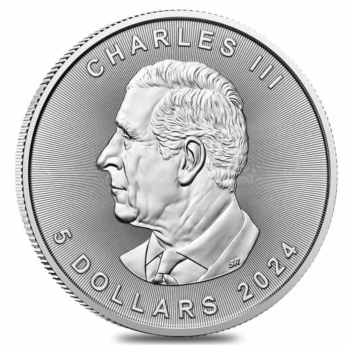 1 oz Canadian Silver Maple Leaf Coin R28907